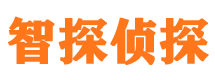 双流智探私家侦探公司